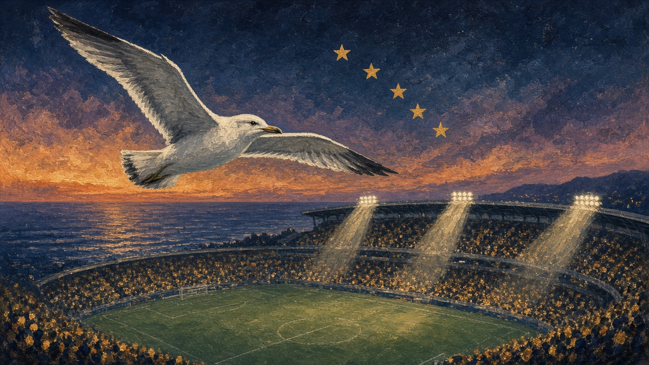 Editorial illustration of a seagull soaring over a floodlit football stadium by the sea at dusk with five gold stars trailing across the sky